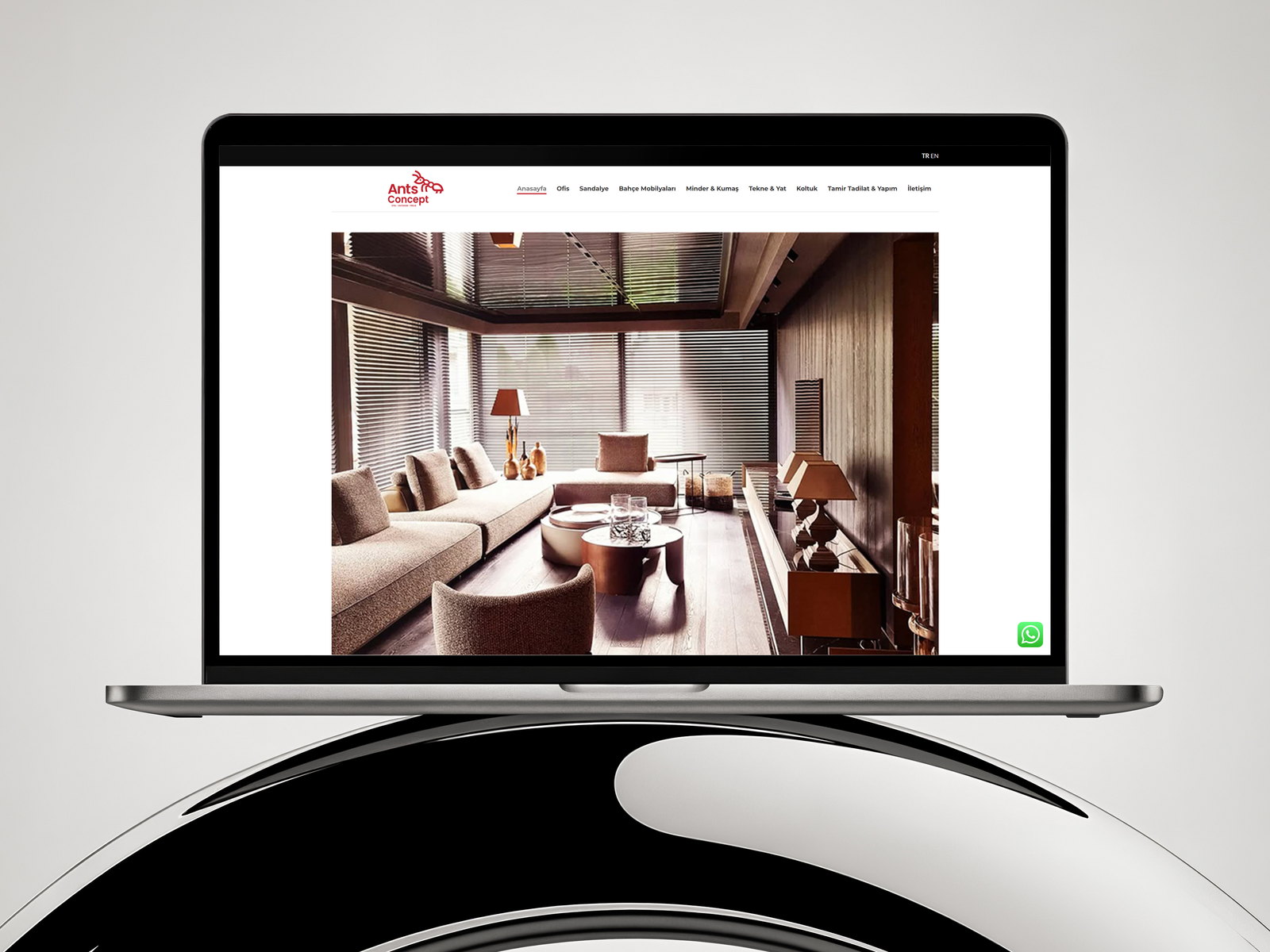 Ants Concept web sitesi