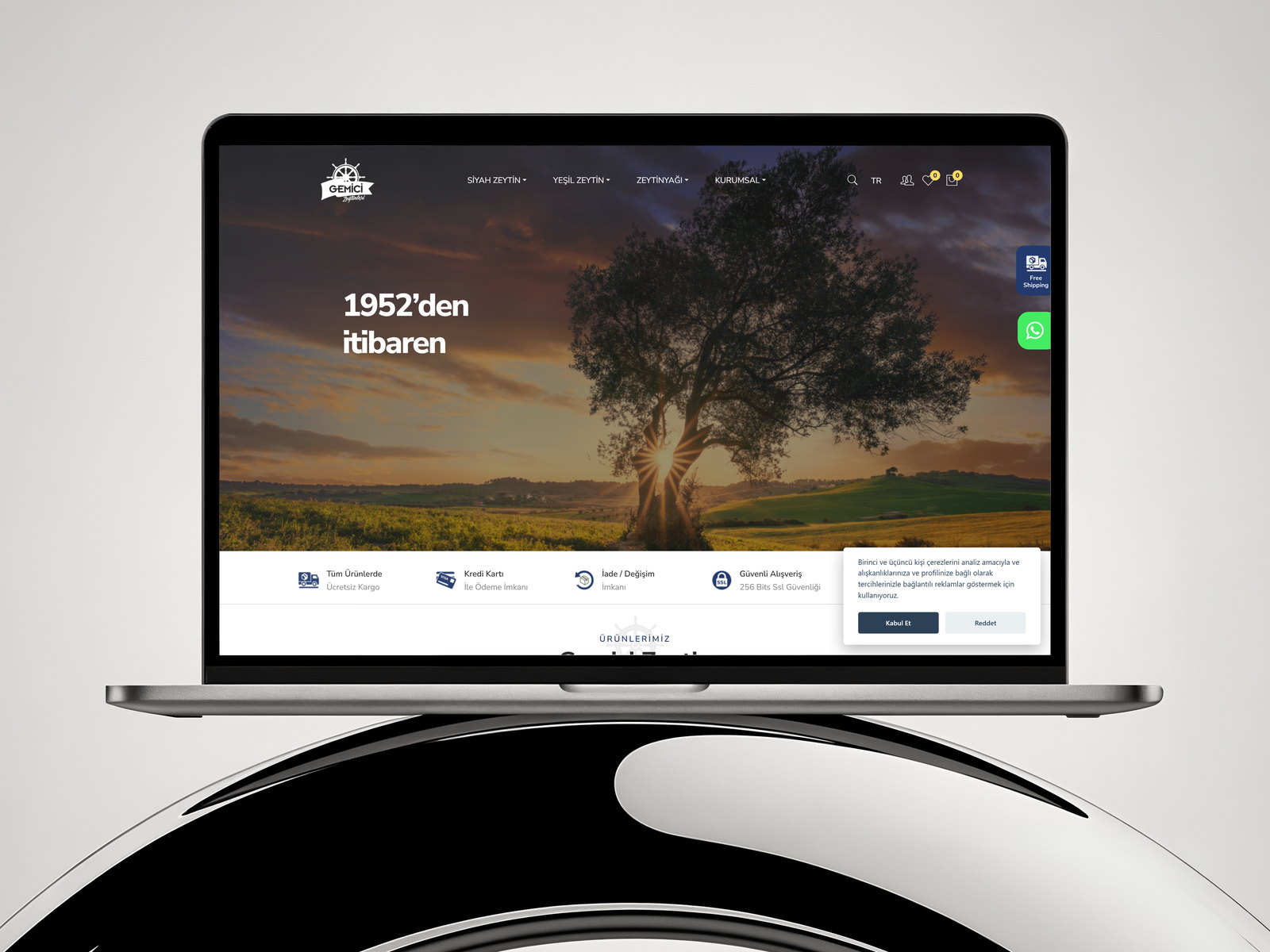 Gemici Zeytin web sitesi